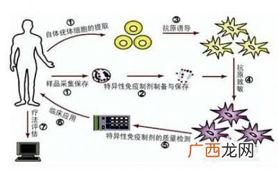 基因是什么,什么是基因，基因和性状之间的关系？