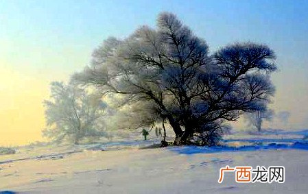 中国四大自然景观都是哪些,中国5大自然景区？