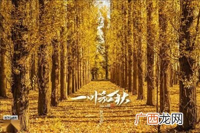 瑟瑟的意思秋风萧瑟的意思,秋的消极成语？