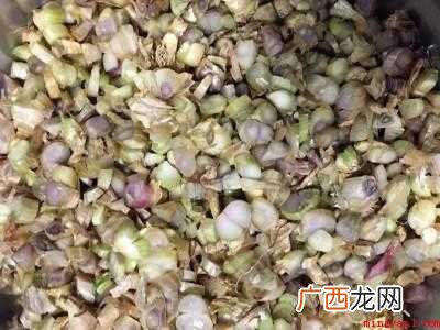 蒜头油的做法