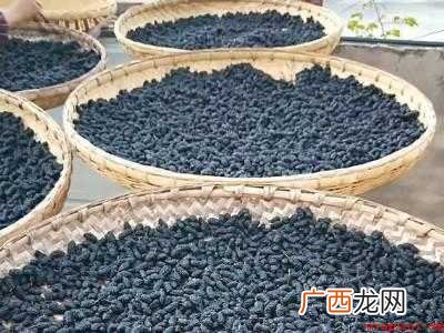 桑葚如何快速晒干