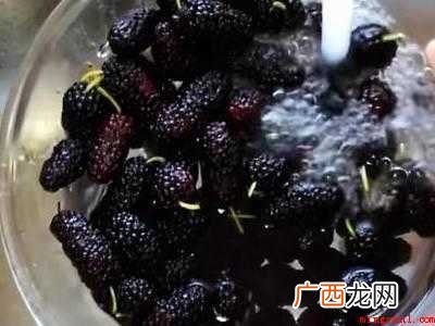 桑葚如何快速晒干