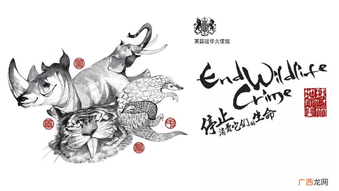 大象的长鼻子是怎样长成的,大象的长鼻子百科？