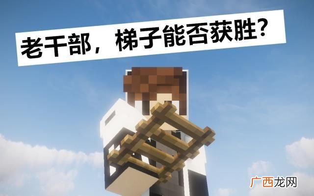 我的世界脚手架有什么用,虚无我的世界杯子怎么用？