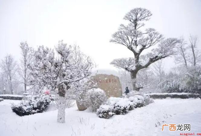 瑞雪兆丰年的下一句是什么