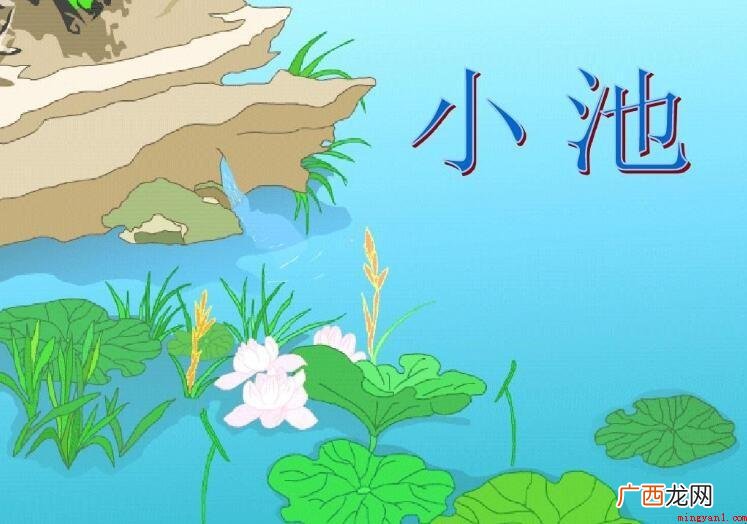 古诗小池是什么季节内容 古诗小池是什么季节