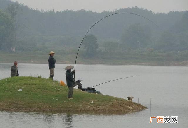 钓鱼入门知识,新手钓鱼入门基本知识传统钓鱼？