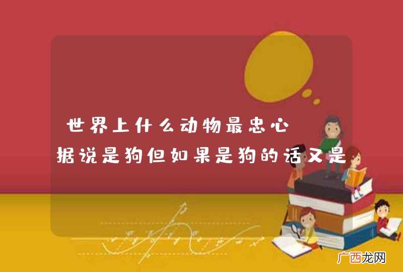世界上什么动物最忠心??据说是狗但如果是狗的话又是什么品种的最忠心??