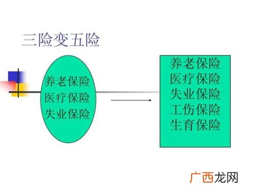 三险是哪三险,3险和5险区别?