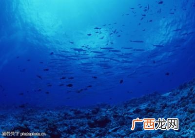 海洋是什么样的,什么的大海填空量词？