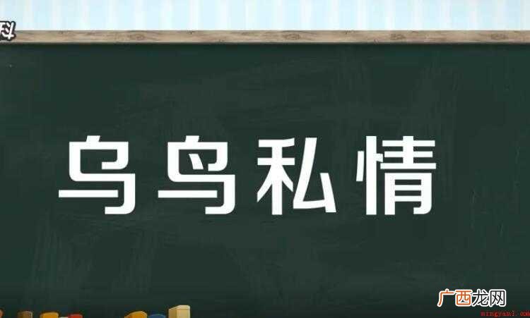 乌鸟私情是什么意思