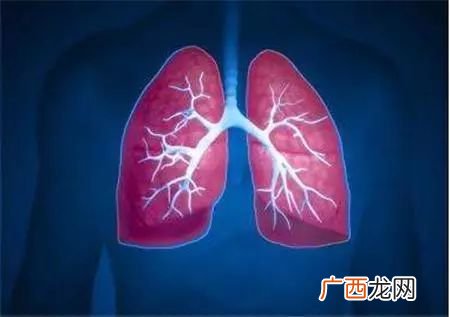 肺在哪边左还是右,正常人有几个肺呢？