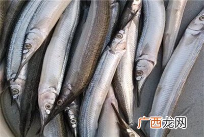 针鱼有哪些营养价值,淡水针鱼是不是保护动物？