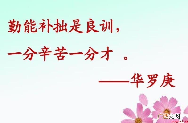 勤能补拙是良训下一句是什么