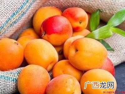 杏子不熟怎么捂