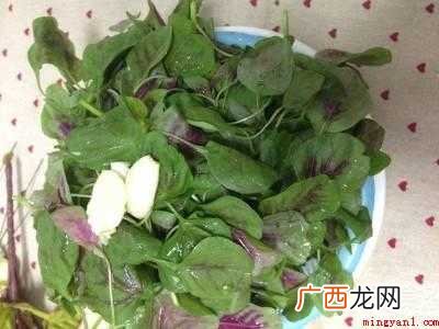 米苋怎么烧