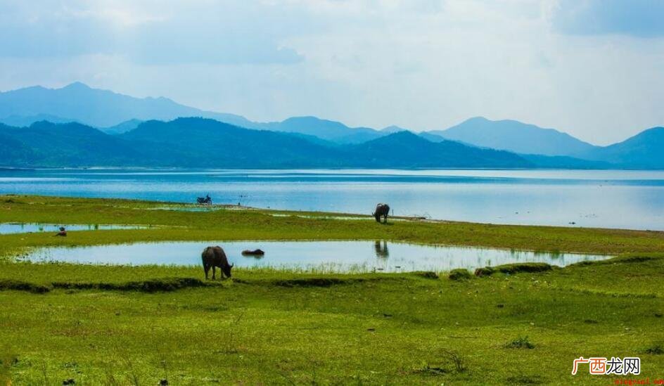 “沧海桑田”的沧海指的是哪个海