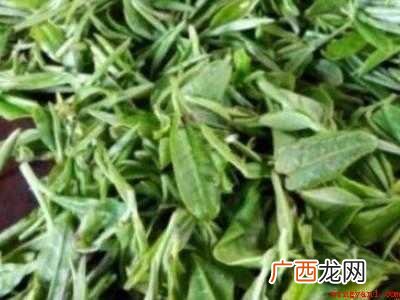 茶叶的制作方法和流程