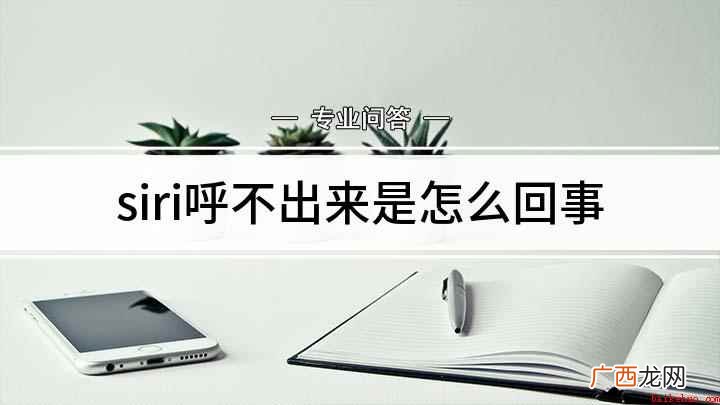 为什么Siri呼不出来 siri呼不出来是怎么回事