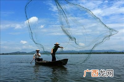 撒网有什么技巧,传统撒网几米高最适用？