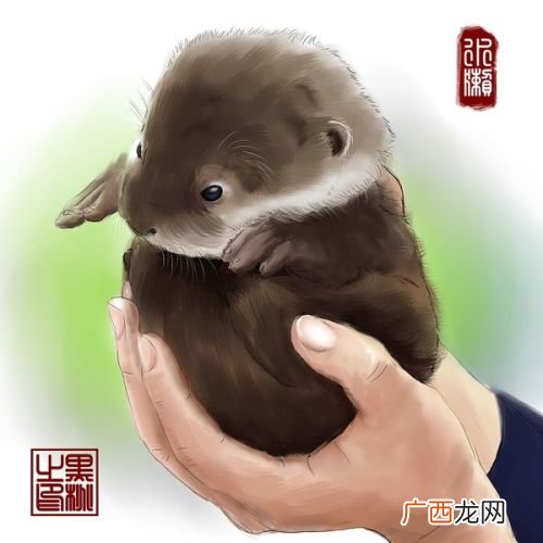 关于水獭的动画片,疯狂动物城动物名字分别介绍？