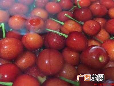 樱桃里有虫子怎么清洗