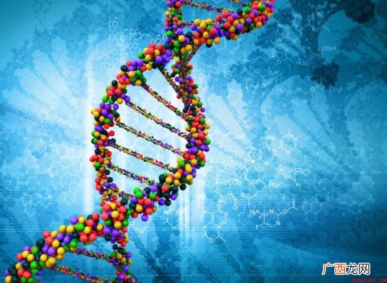 生物的特征是什么