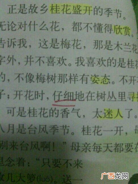 寻找的近义词是什么,找到的近义词是什么？