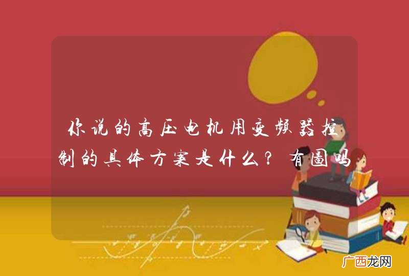 你说的高压电机用变频器控制的具体方案是什么？有图吗？是控制高压电机的转子部分吗？