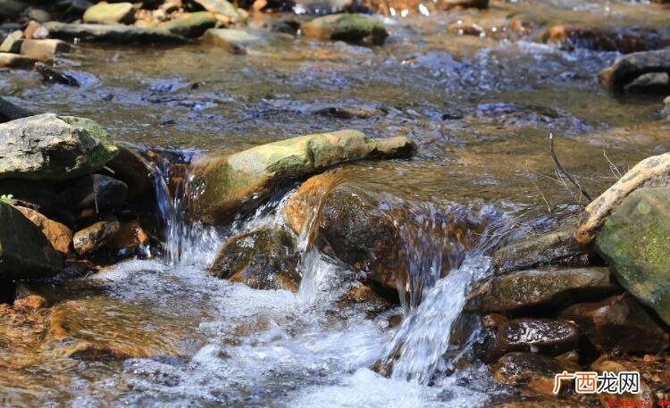 山泉水和矿泉水的区别是什么