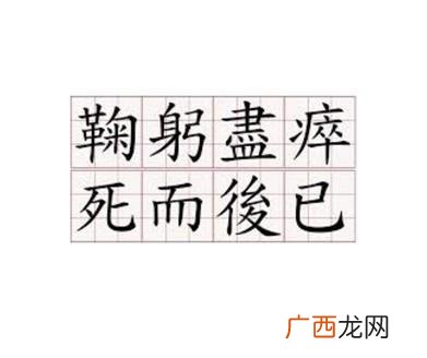 死而后已的意思,“鞠躬尽瘁，死而后己”的意思？