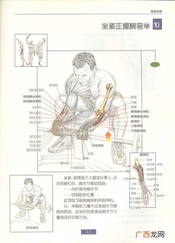 如何锻炼手部小肌肉,手掌肌肉萎缩怎么锻炼？