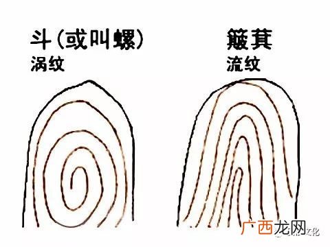 手指上的簸萁和斗有什么说法,一斗的意义？
