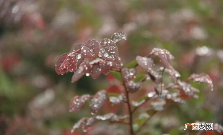 秋雨的特点是什么