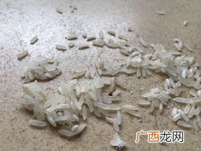 米起虫子了还能吃吗,大米里面密密麻麻的小虫是什么?