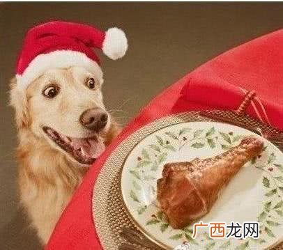 狗狗不能吃什么食物,三个月的小狗不能吃什么？