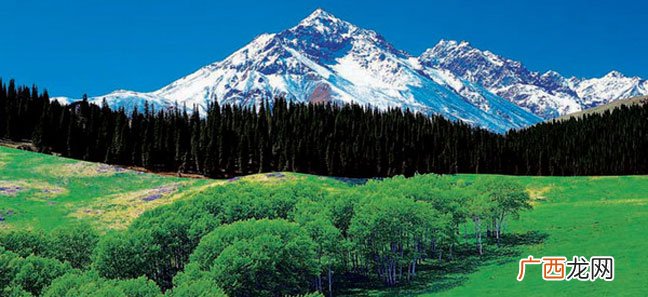 阿尔泰山在哪里,阿尔泰山平均海拔？