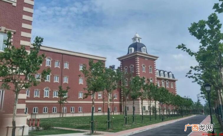 三加二学校有什么专业
