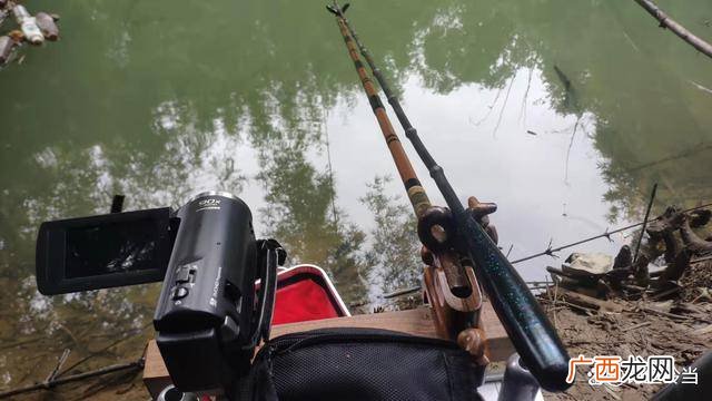 晚上钓鱼钓深还是浅什么位置,夜钓是钓远还是钓近？