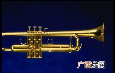 世界上所有乐器名称,四种乐器名称？