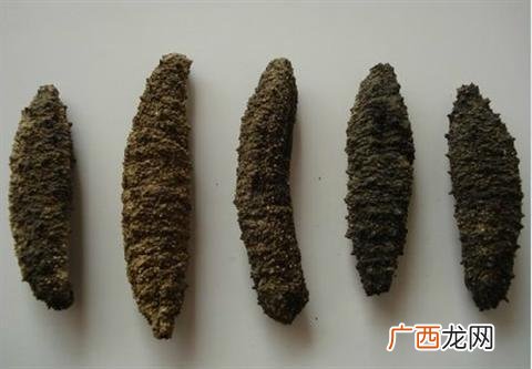 北极参和辽参营养价值差别大吗,加拿大红极参跟国内海参哪个好？