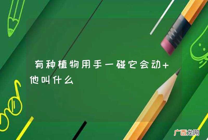 有种植物用手一碰它会动 他叫什么