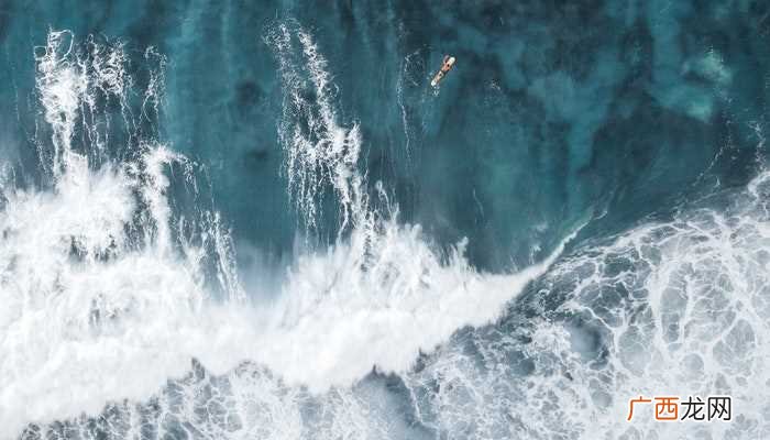 梦见赶海