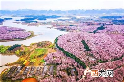 贵州省平坝县,平坝区在贵安新区中心吗？