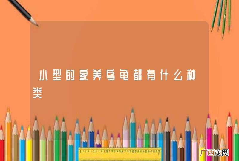 小型的家养乌龟都有什么种类