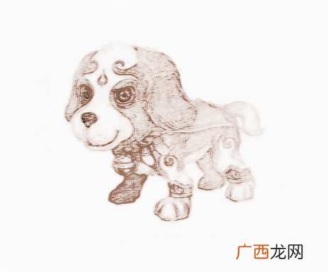 十二生肖午是什么生肖,七点钟指什么生肖？
