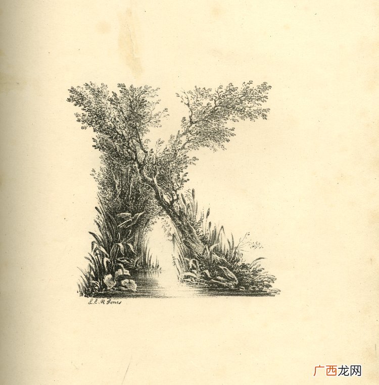 形容风景的英语形容词,什么样的风景填形容词？