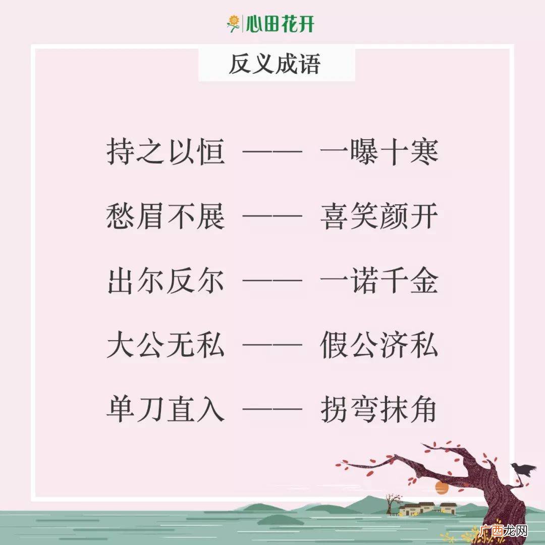 义可以组什么成语,什么可什么义成语?