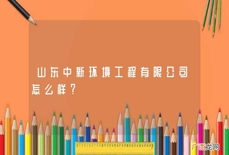 山东中新环境工程有限公司怎么样?