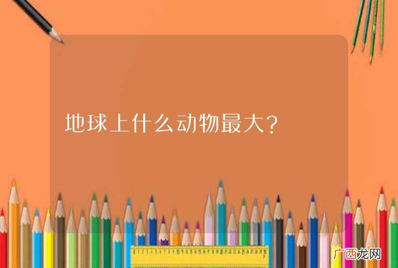 地球上什么动物最大?